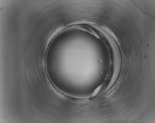 X0000073900813200608180957