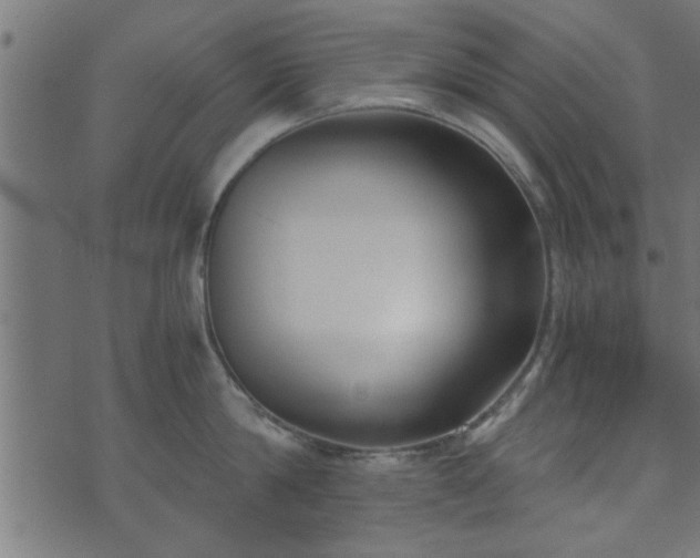 X0000073900814200608180957