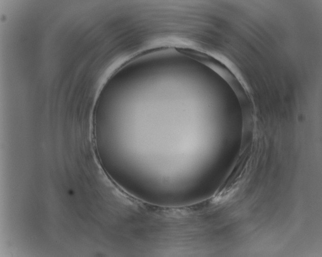 X0000073900815200608180957