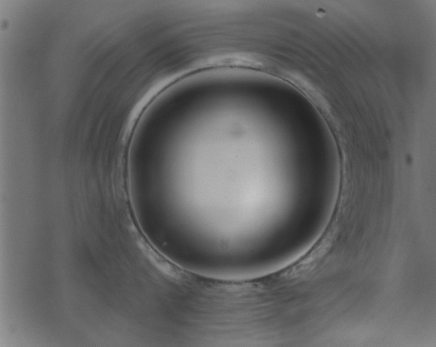 X0000073900816200608180957