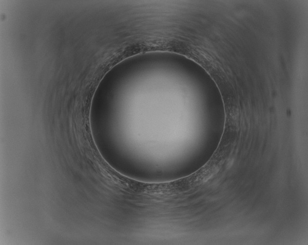 X0000073900817200608180956