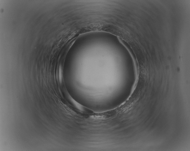 X0000073900818200608180956