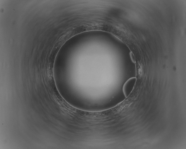 X0000073900819200608180956