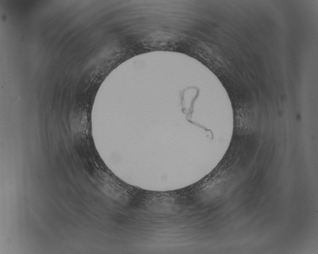 X0000073900820200608180956