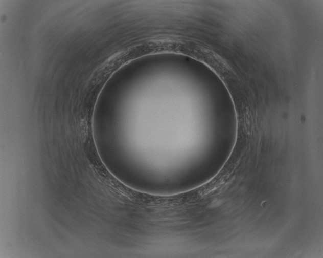 X0000073900821200608180956