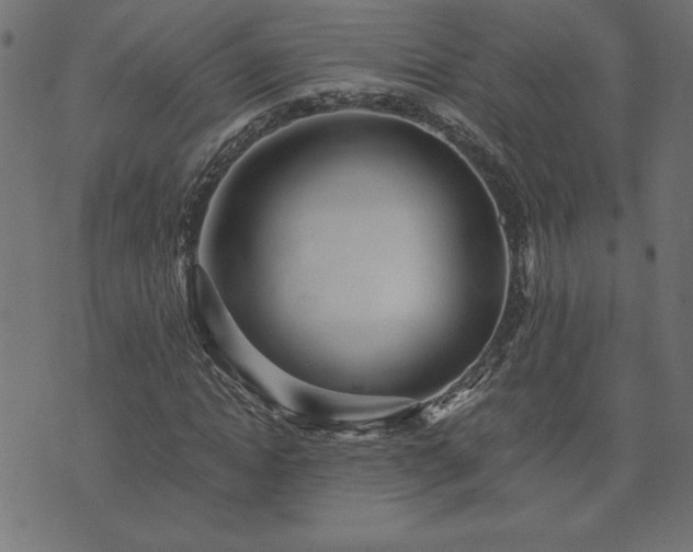 X0000073900822200608180956