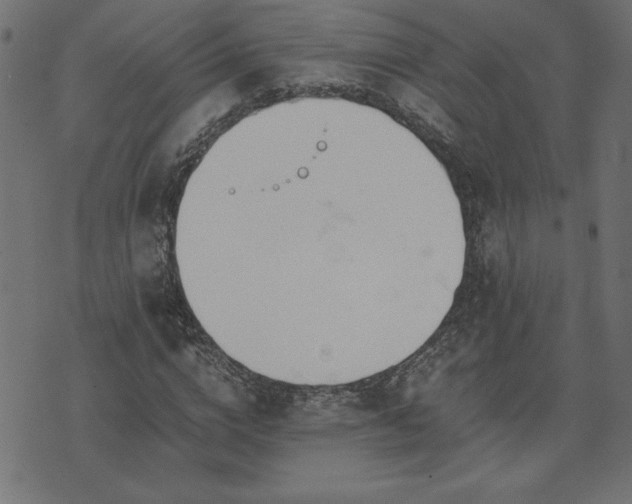 X0000073900824200608180956