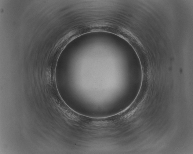 X0000073900825200608180956