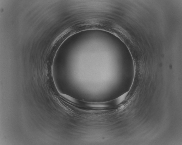 X0000073900826200608180956