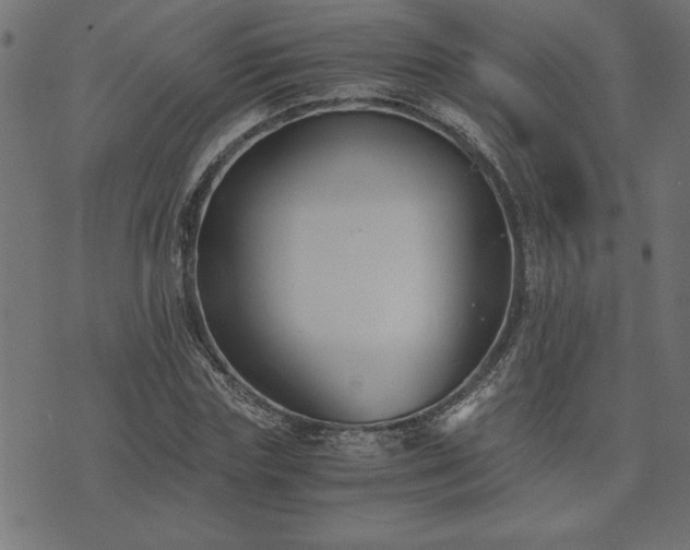 X0000073900827200608180956