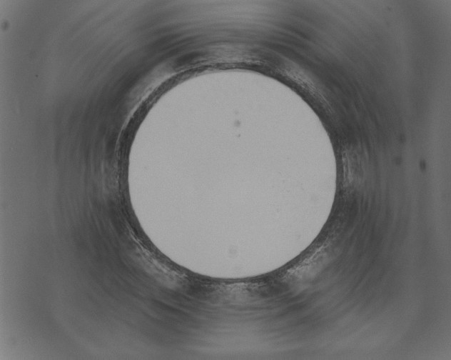 X0000073900828200608180956