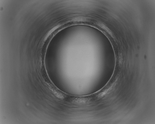 X0000073900829200608180956