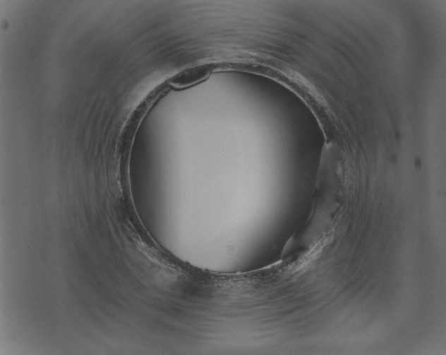 X0000073900830200608180956