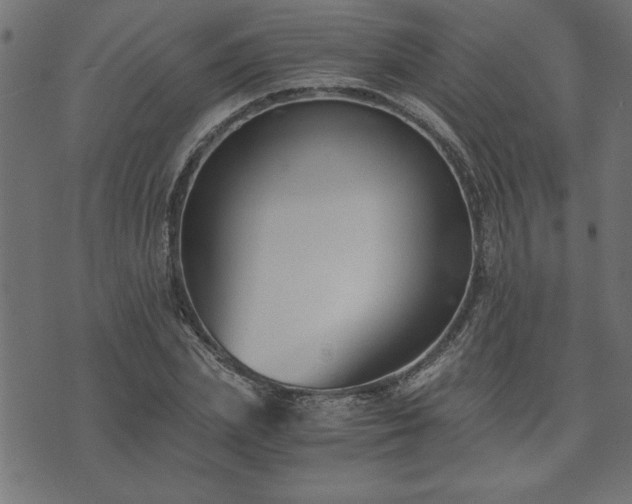 X0000073900831200608180956