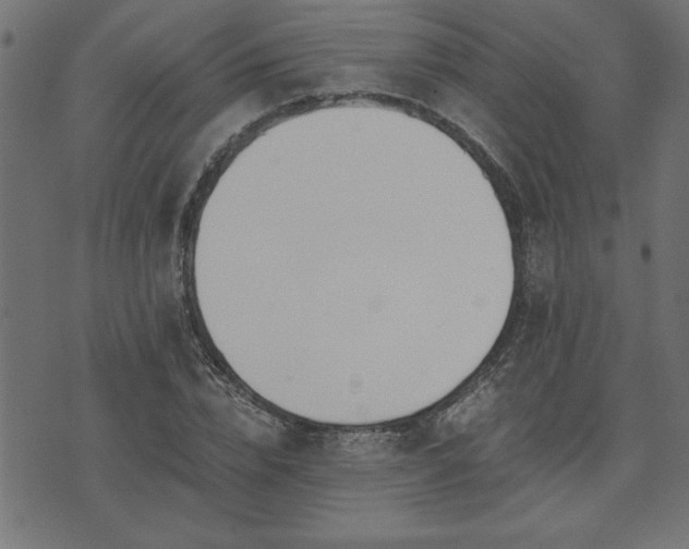 X0000073900832200608180956