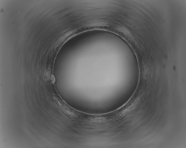 X0000073900833200608180956