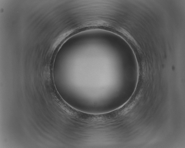 X0000073900834200608180956