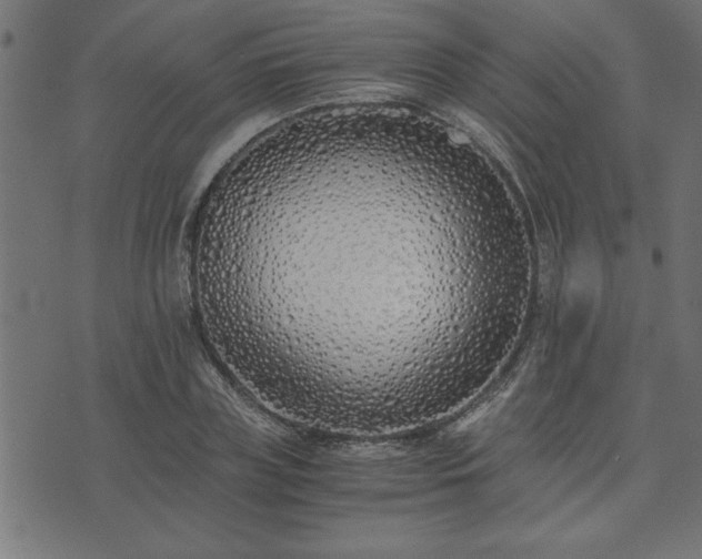 X0000073900835200608180956