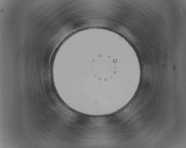 X0000073900836200608180956