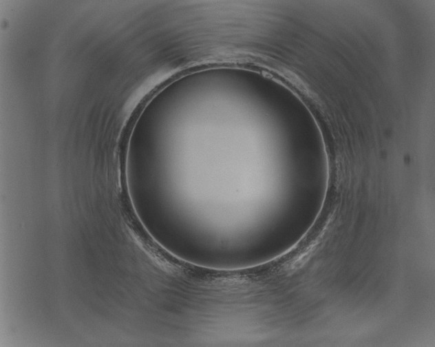 X0000073900838200608180957