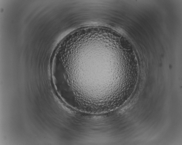 X0000073900839200608180957