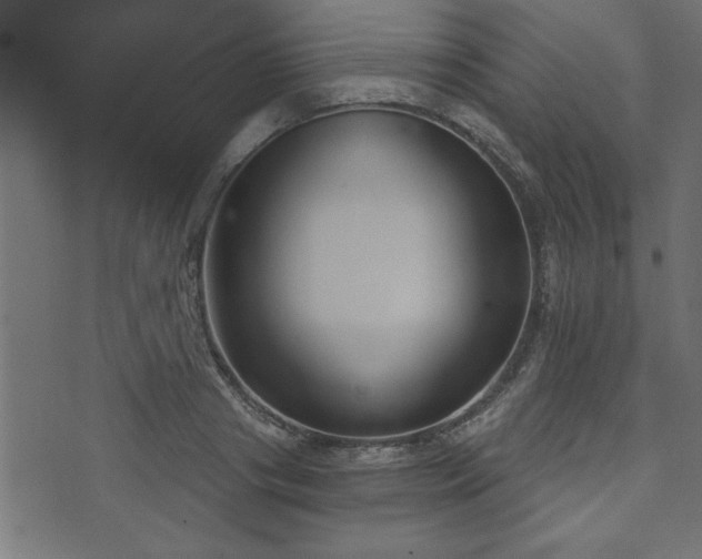 X0000073900841200608180957