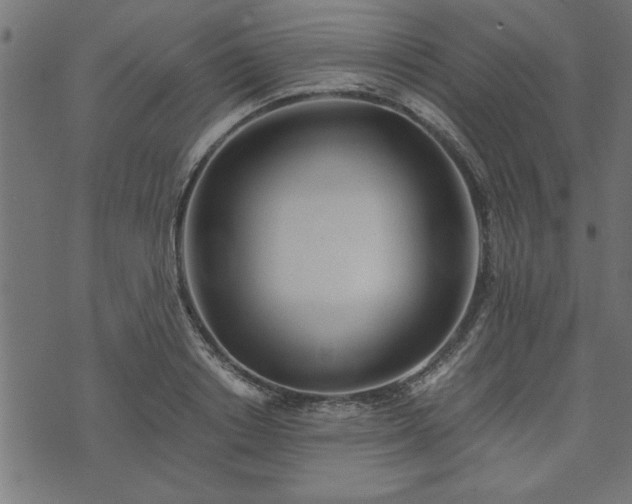 X0000073900842200608180957