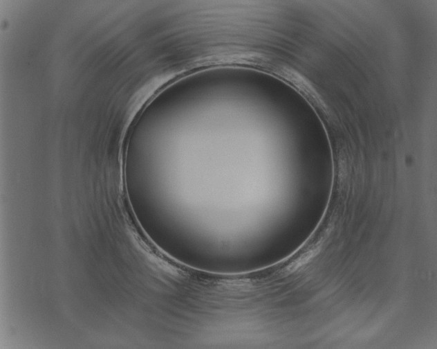 X0000073900844200608180957