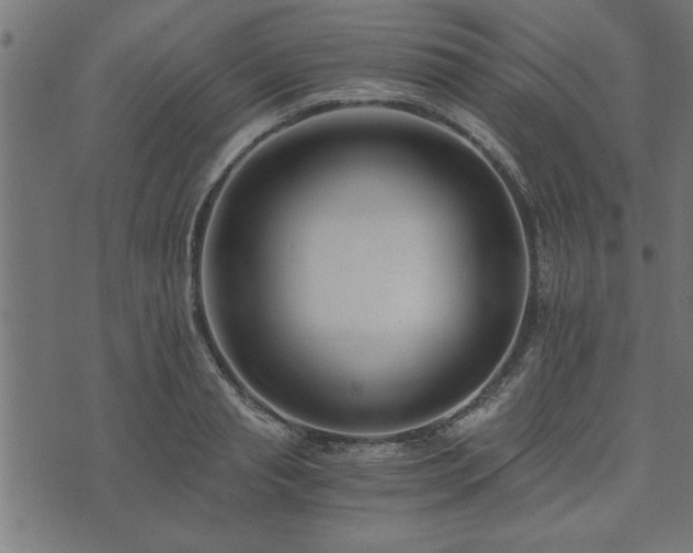 X0000073900845200608180957