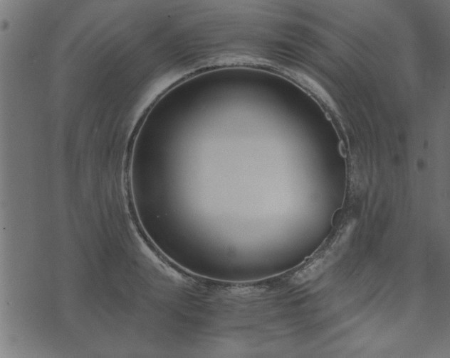 X0000073900847200608180957