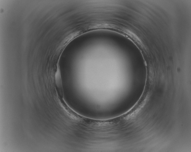 X0000073900849200608180957