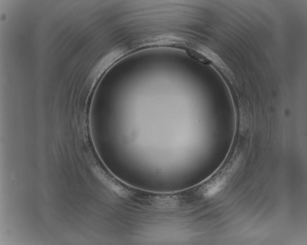 X0000073900850200608180957