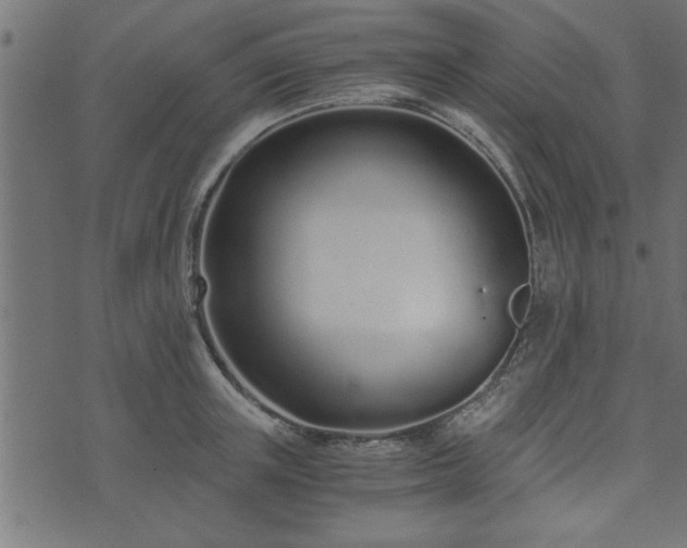 X0000073900851200608180957