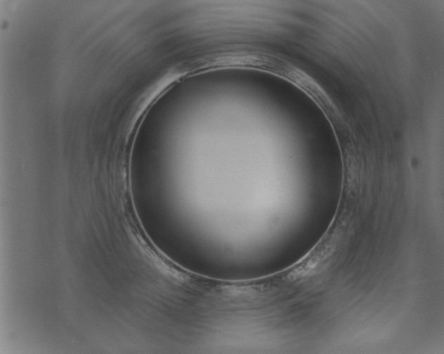 X0000073900852200608180957