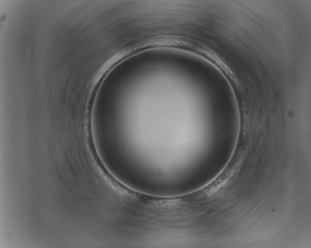 X0000073900853200608180957