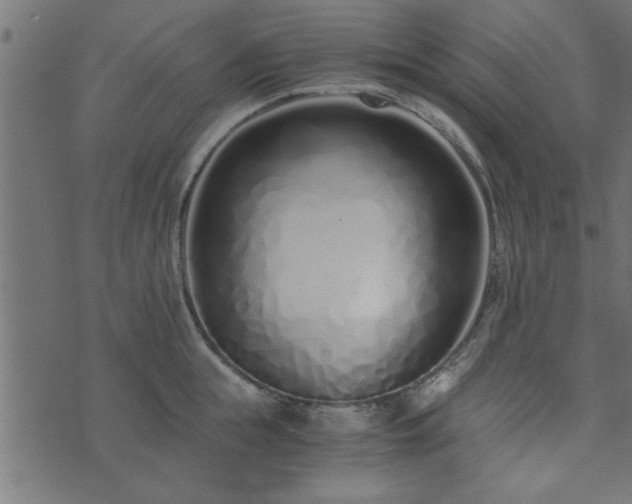 X0000073900855200608180957