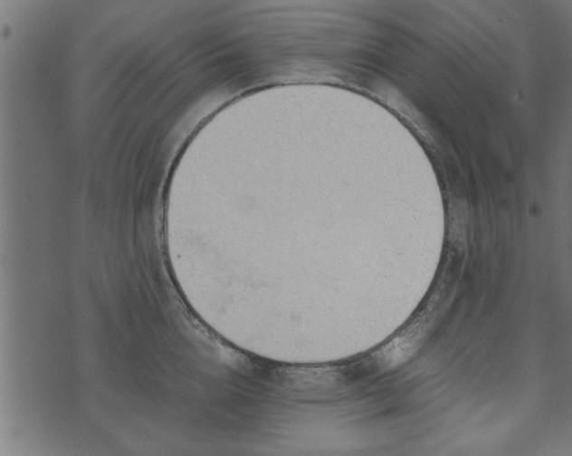 X0000073900856200608180957