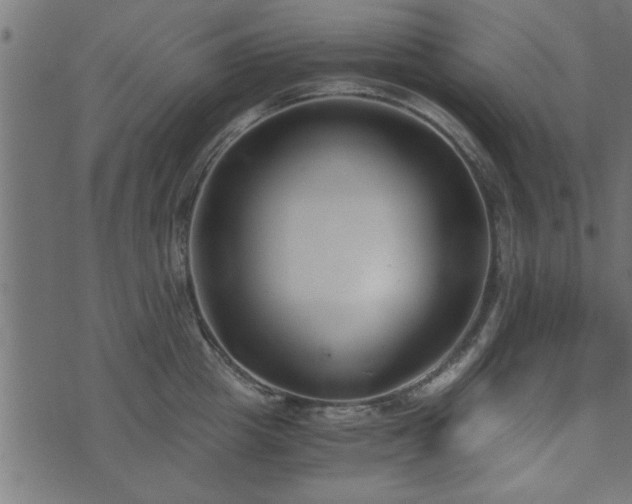 X0000073900857200608180957