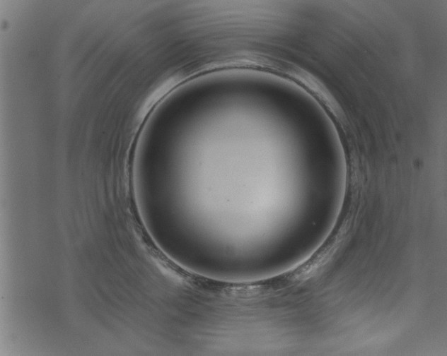 X0000073900858200608180957