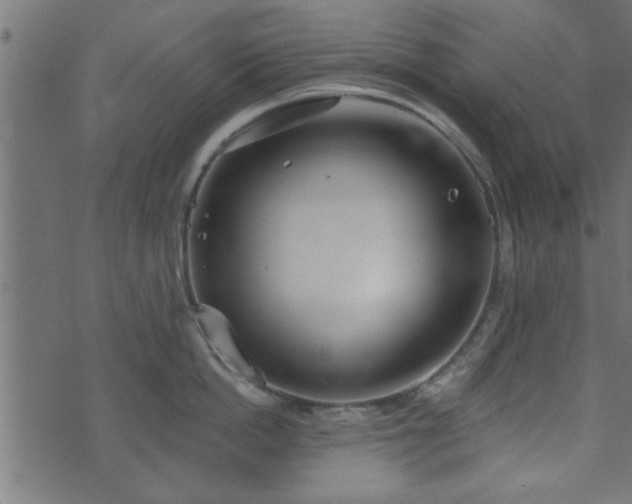 X0000073900862200608180957