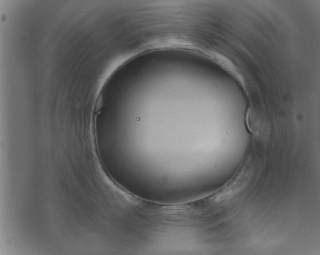 X0000073900863200608180957