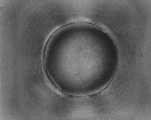 X0000073900864200608180957