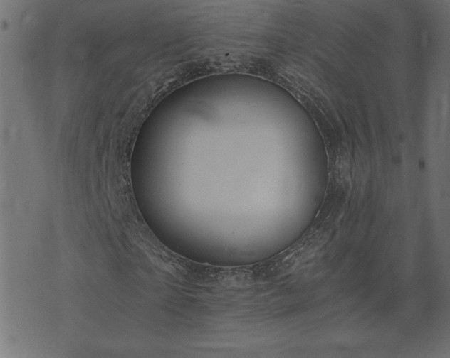 X0000073900865200608180956