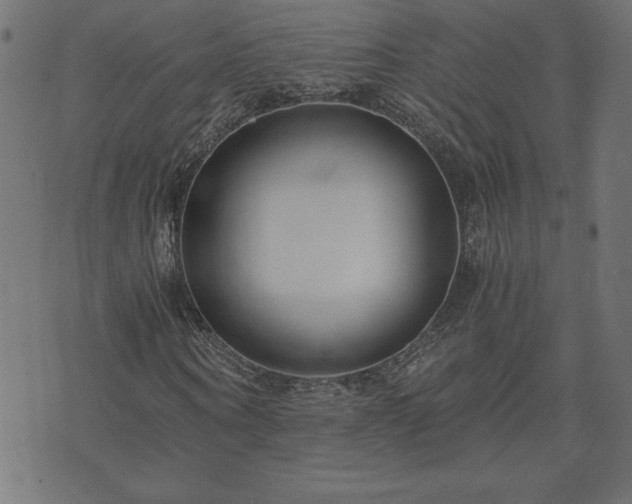 X0000073900866200608180956