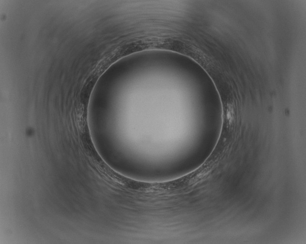 X0000073900867200608180956