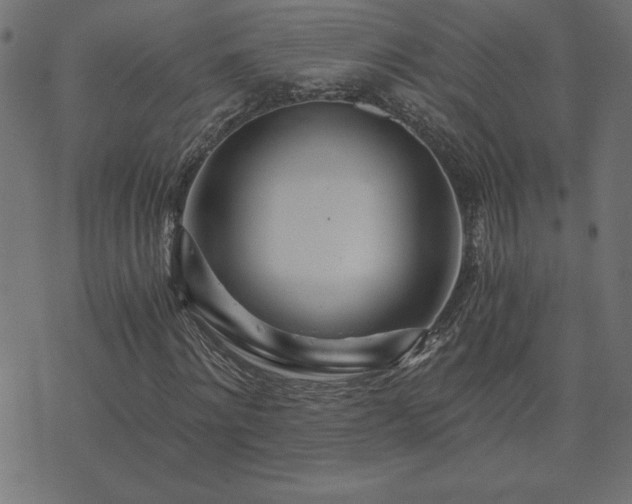 X0000073900868200608180956