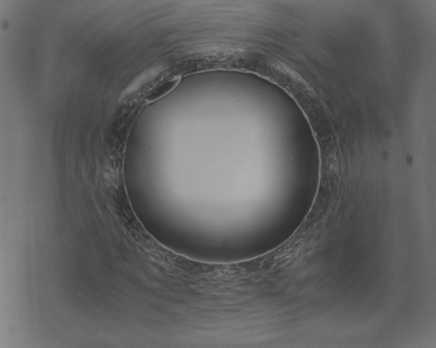 X0000073900869200608180956