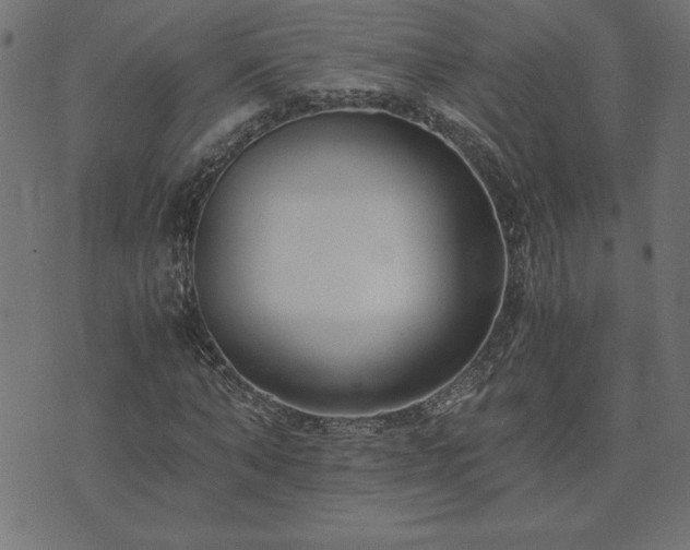 X0000073900870200608180956