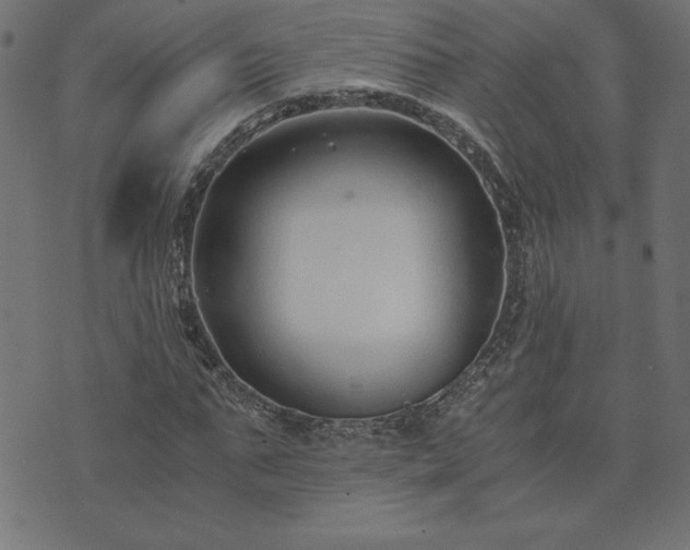 X0000073900871200608180956