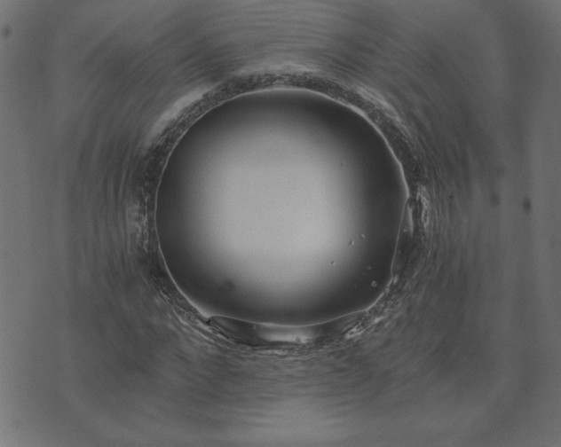 X0000073900872200608180956